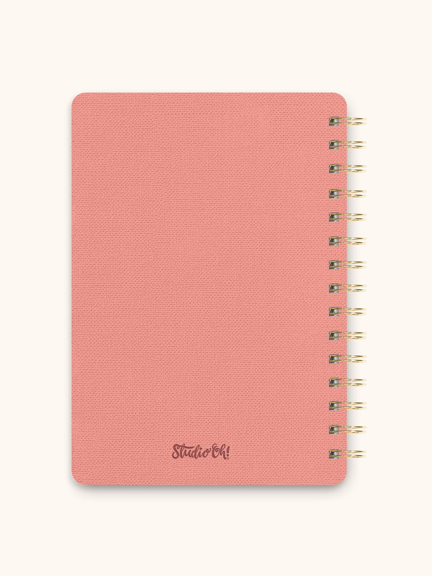 Current Mood (Coral Pink) Agatha Notebook