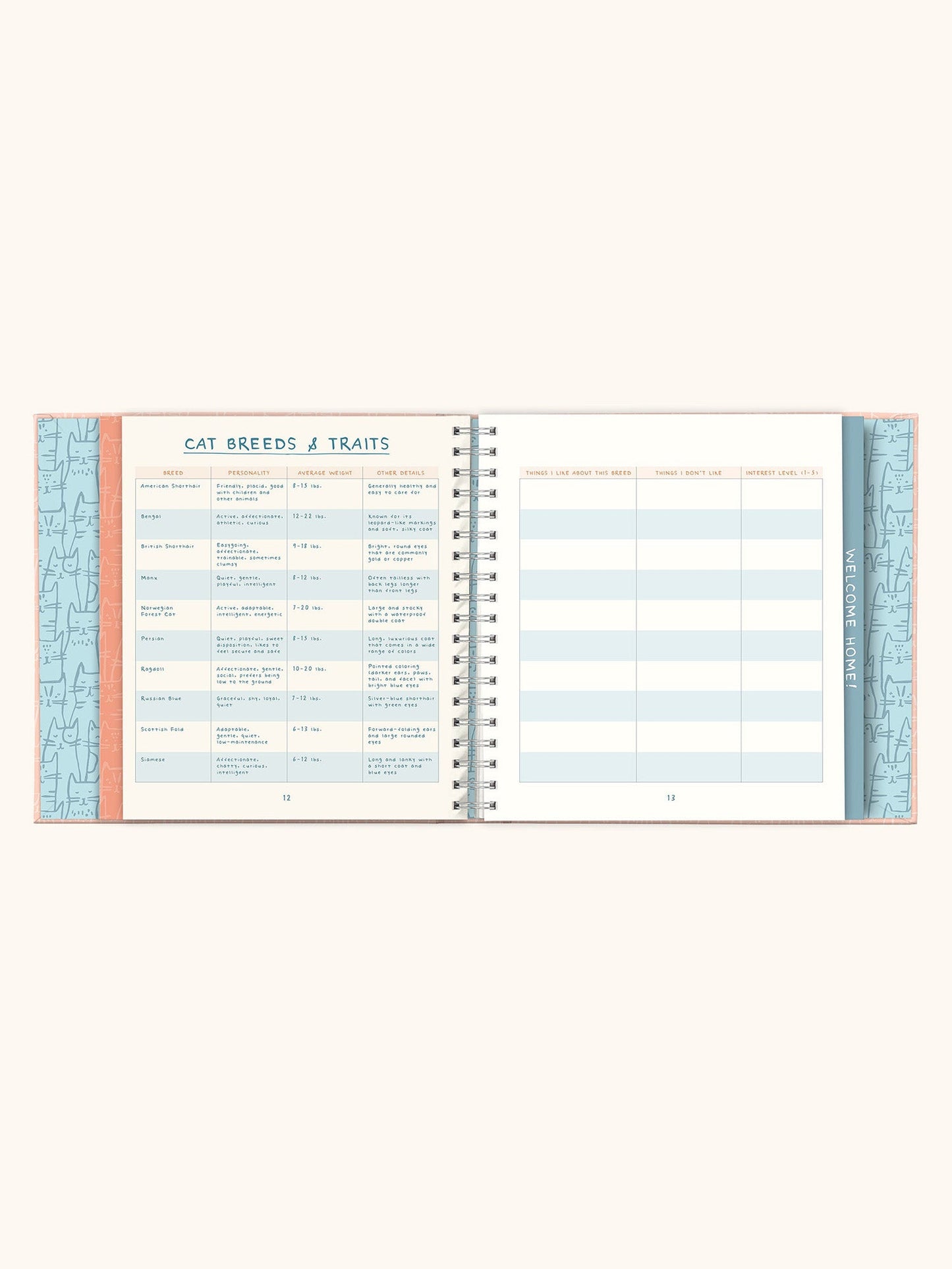 It's a Cat! Guided Journal