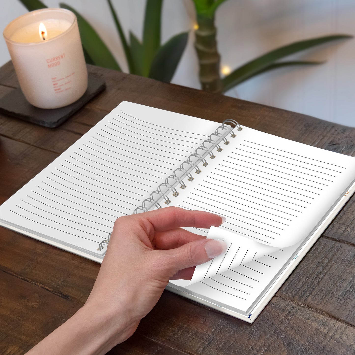 Rae Dunn BLESSED Medium Spiral Notebook