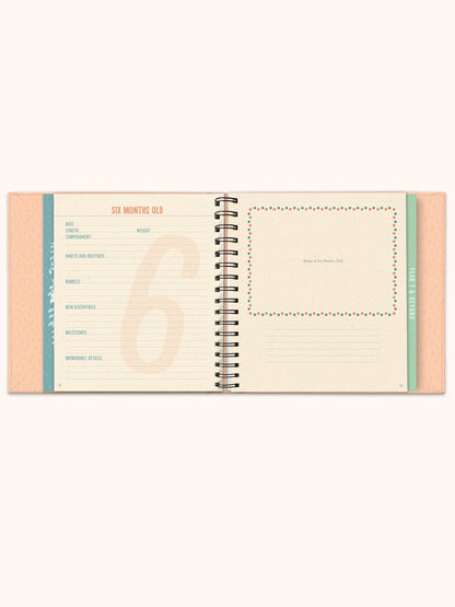 Bundle of Joy Guided Journal