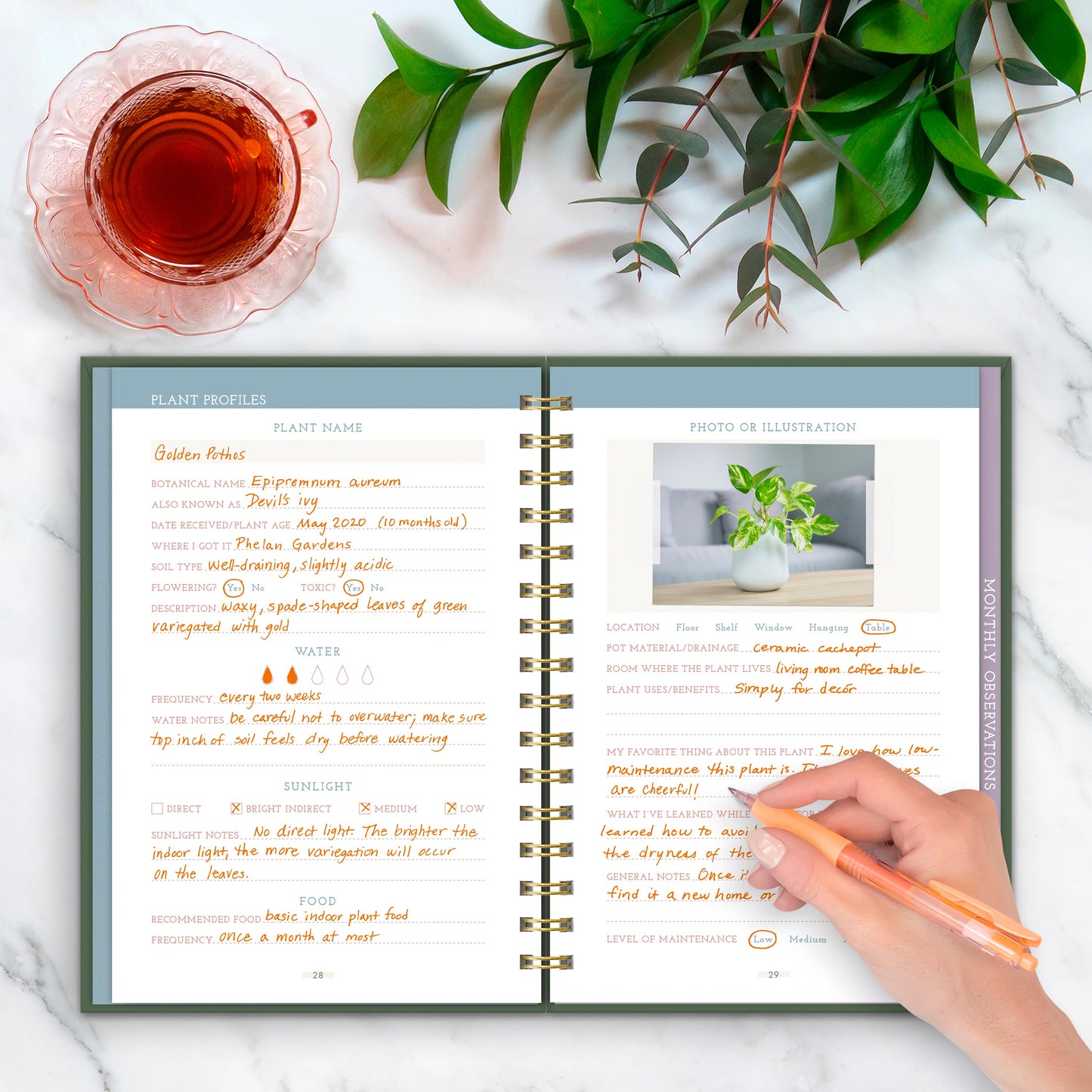 Green Vibes Only Guided Journal